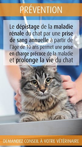 Cabinet De Veterinaire Sur Rixensart